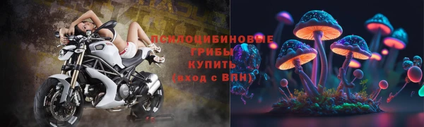 дмт Лиски