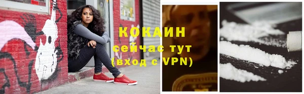 дмт Лиски