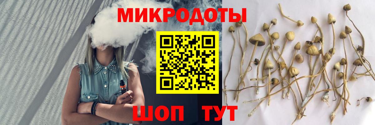 Псилоцибиновые грибы MAGIC MUSHROOMS  Вход с VPN  Вичуга 