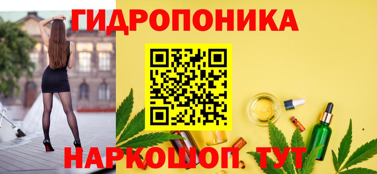 Бошки Шишки семена  Вход с VPN  МАРИХУАНА сатива  Вичуга  МАРИХУАНА THC 21% 